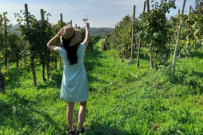 2 Guests Private Prosecco Road Tour All Inclusive from Venice - Your Route Starts Near Piazzale Roma in Venice