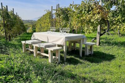 2 Guests Private Prosecco Road Tour All Inclusive from Venice - Stop 1: Conegliano Castle Views and Winery Cellar Tasting