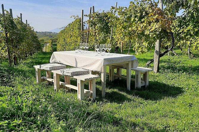 2 Guests Private Prosecco Road Tour All Inclusive from Venice - Stop 1: Conegliano Castle Views and Winery Cellar Tasting