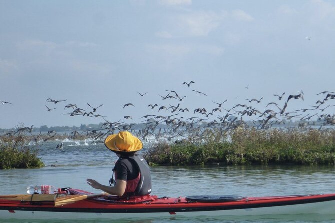 2 Hour Night Kayak Tour in Venice, premium experience with sunset - What the guides actually do: history, buildings, and calm control