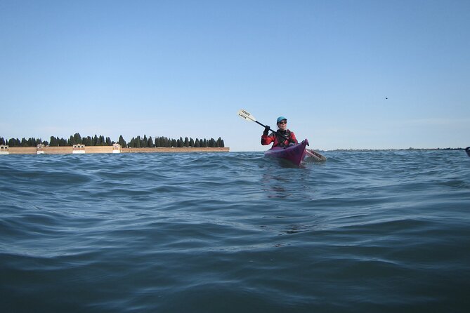 2 Hour Night Kayak Tour in Venice, premium experience with sunset - Laguna flora and fauna: learning without turning it into a lecture