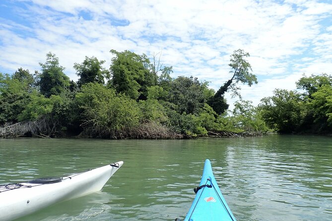 2 Hour Night Kayak Tour in Venice, premium experience with sunset - Should you book Venice Kayak’s 2-hour premium sunset night tour?