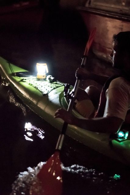 2hr Night Kayak Tour in Venice: premium tour with sunset - Gear and comfort: wetsuits, gloves, dry bags, and life vests