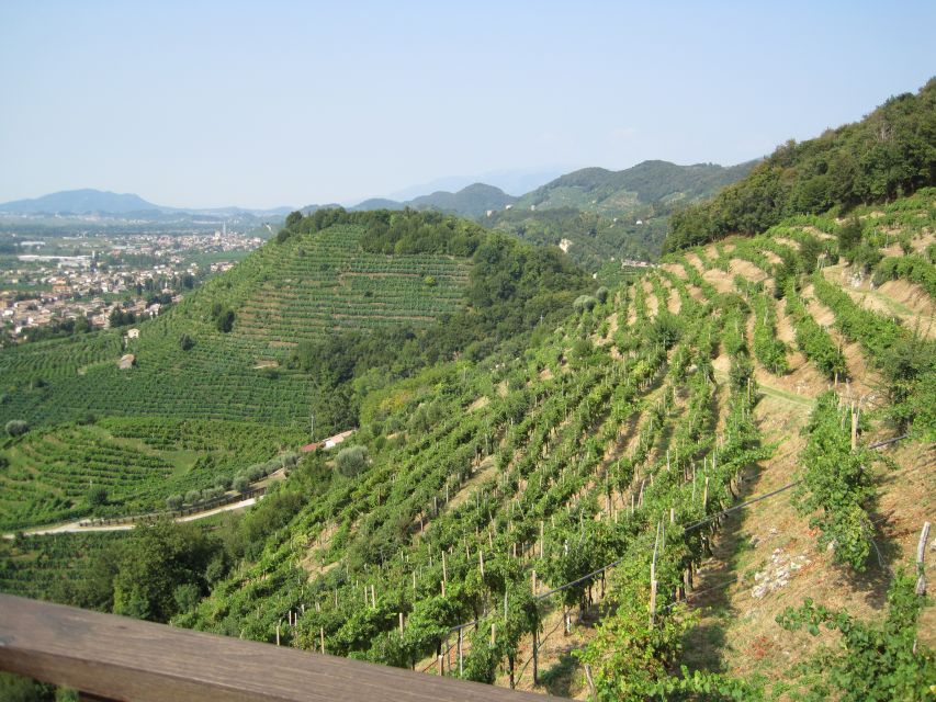 8-Hour Prosecco Wine and Tastings Tour from Venice or Padua - Prosecco hills: why this route matters more than the label