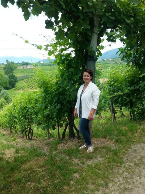 8-Hour Prosecco Wine and Tastings Tour from Venice or Padua - The day’s shape: 8 hours, two wineries, and a lunch that breaks the cycle