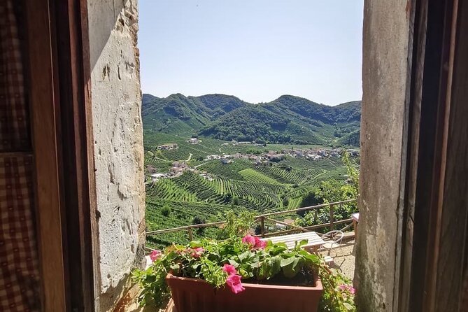 Adventure in the Prosecco Hills by Yellowboot - Venice to Conegliano by train: the easiest way to start