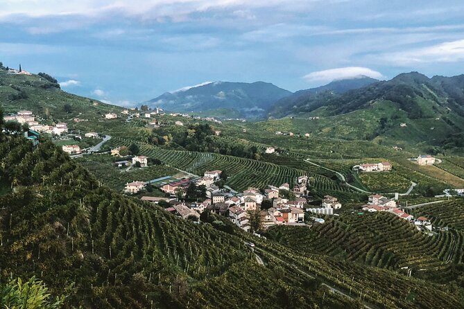 Adventure in the Prosecco Hills by Yellowboot - Stop 2: Conegliano DOCG tastings with a more personal winery feel