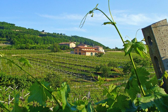 Amarone & Soave Wine Tour with Sommelier – Visit Verona - Valpolicella and Amarone reds: where the day warms up