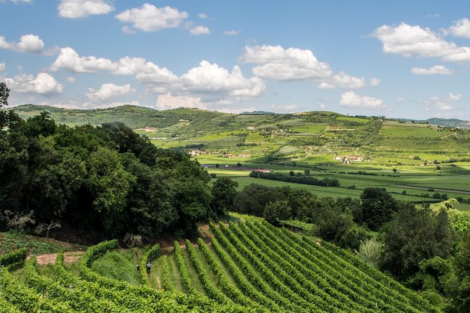 Amarone & Soave Wine Tour with Sommelier – Visit Verona - Lunch and snacks: fueling a full day without slowing it down