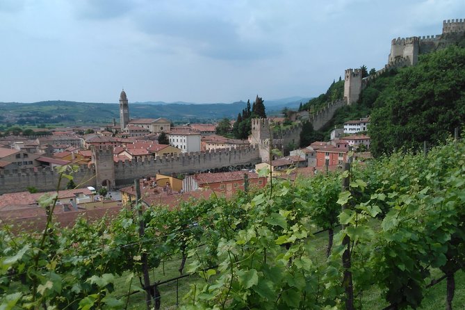 Amarone & Soave Wine Tour with Sommelier – Visit Verona - Your Verona walking tour: highlights, not a maze