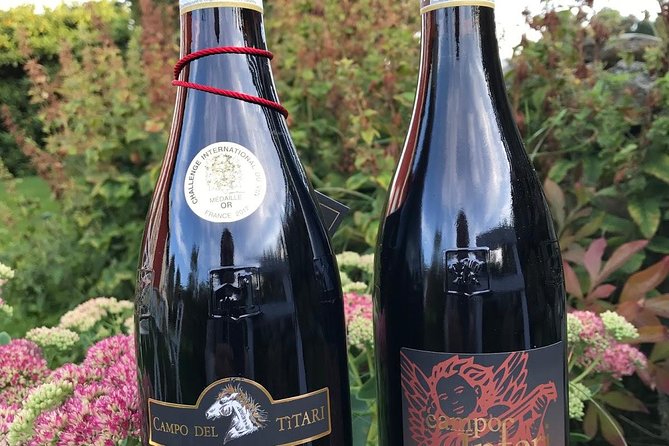 Amarone-Valpolicella tour. Visit Verona. From Venice - Verona walking tour: the city feels personal on foot