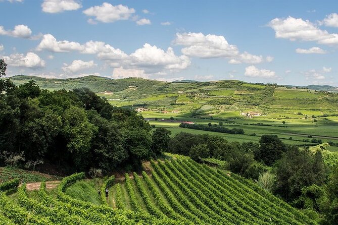 Amarone-Valpolicella tour. Visit Verona. From Venice - The tasting lineup: Classico, Ripasso, Amarone, Recioto