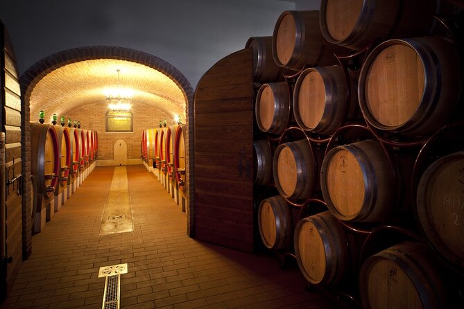 Amarone-Valpolicella tour. Visit Verona. From Venice - Light lunch and pairings: what you should expect