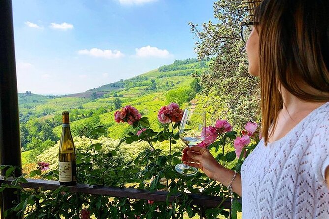 Amarone-Valpolicella tour. Visit Verona. From Venice - Price and value: is $240 reasonable for this mix?