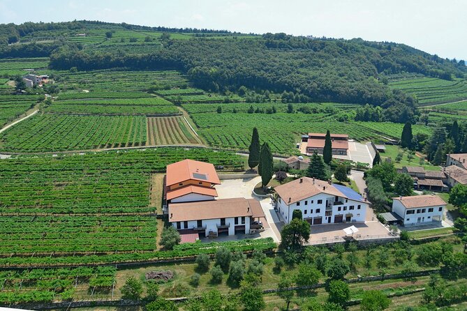 Amarone-Valpolicella tour. Visit Verona. From Venice - Who this tour is for—and who should skip it