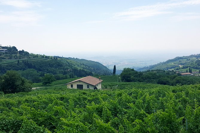Amarone Wine Tour (all-inclusive full day with lunch and expert wine guide) - Amarone in one day: what you’re really buying