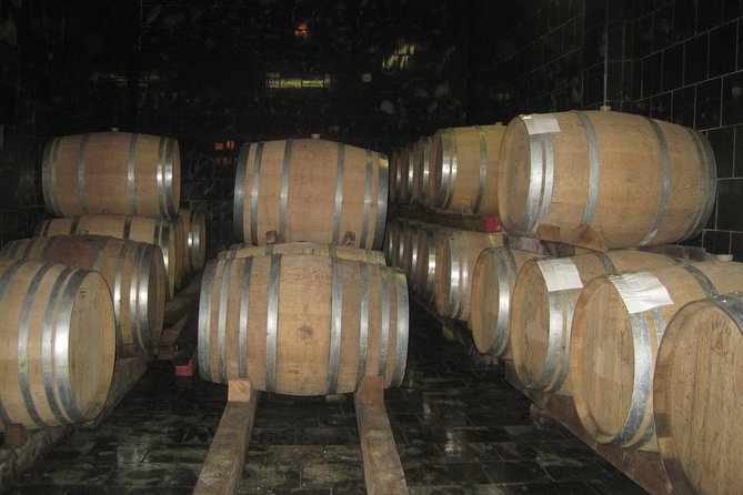 Amarone Wine Tour (all-inclusive full day with lunch and expert wine guide) - Winery tastings at small family producers: what to expect