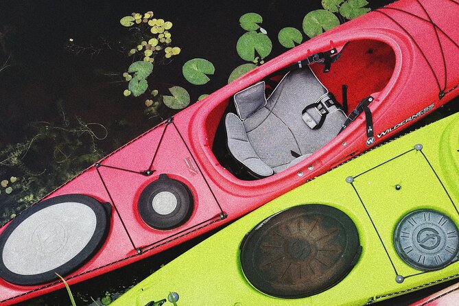 Burano Kayak Eco-Tour Through the Venetian Lagoon - Paddling through salt marshes: wildlife spotting that feels real