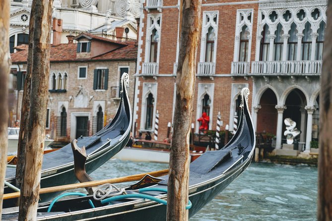 Discover Venice’s most Photogenic Spots with a Local - Stop 5: Porta della Carta and a front-door kind of stop