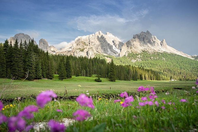 Dolomites Private Tour from Venice - The Road Trip Comfort Factor: Curvy, Scenic, and Managed