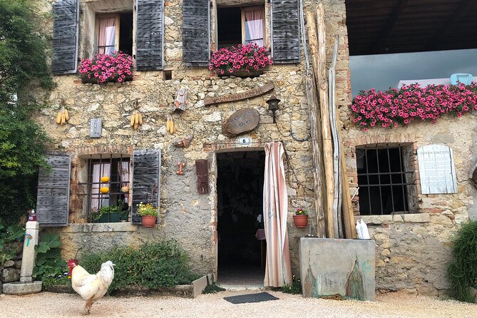 Food and Wine Tour on the Prosecco Hills from Venice - Castle views and first Prosecco moments: that early hillside perspective