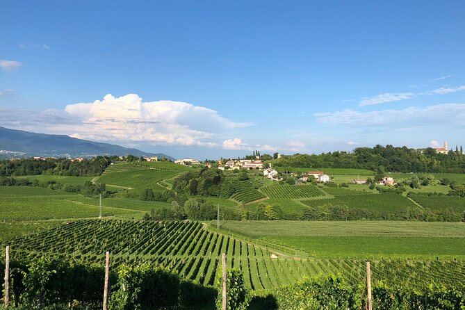 Food and Wine Tour on the Prosecco Hills from Venice - Conegliano: medieval castle ruins and a first taste of the hills