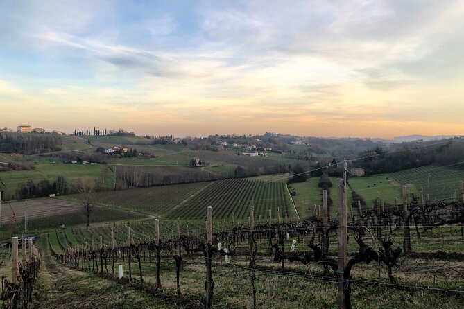 Food and Wine Tour on the Prosecco Hills from Venice - Price and value: what you pay for in a 7.5-hour van day