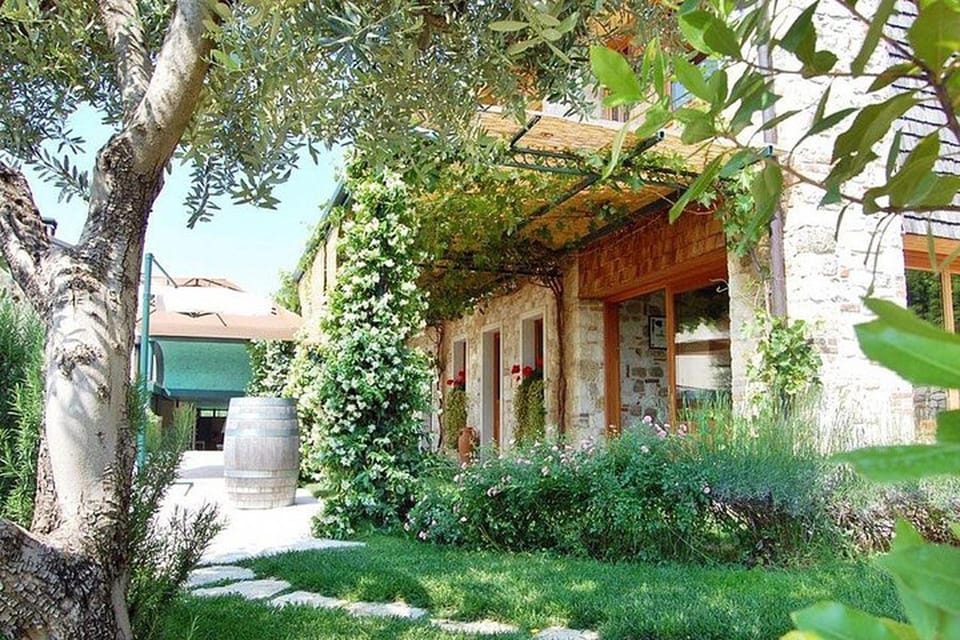 From Venice: Wine and Food tour in the Prosecco Hills - Prosecco Hills, but made human: why this Venice day trip works
