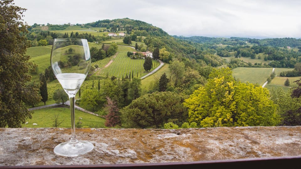 From Venice: Wine and Food tour in the Prosecco Hills - What you’ll love most: 6 key details that matter on the ground