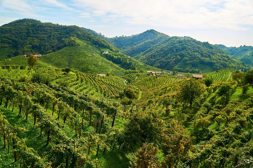 From Venice: Wine and Food tour in the Prosecco Hills - The guide factor: Paolo and the kind of attention that changes the day