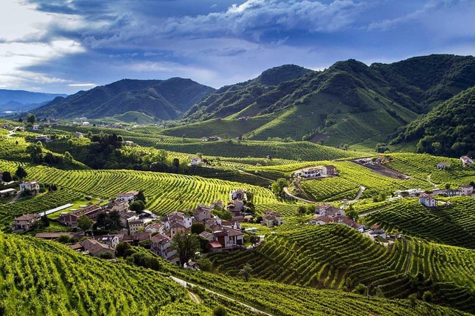 From Venice: Wine and Food tour in the Prosecco Hills - Who this tour is best for (and who should think twice)
