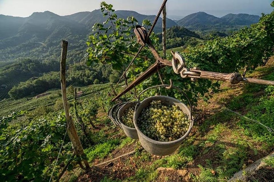 From Venice: Wine and Food tour in the Prosecco Hills - What to do with your day after the tour
