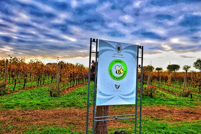 Full day Private Prosecco Tour, with certified Sommelier - Timing and comfort on an 8-hour schedule