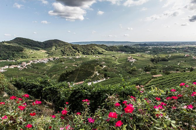 Full day Private Prosecco Tour, with certified Sommelier - Cellar visits and tastings: what you’ll actually do