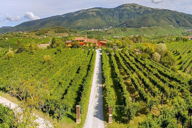 Full Day Prosecco and Cheese Tasting from Venice - The Road-Time Reality and How to Handle It