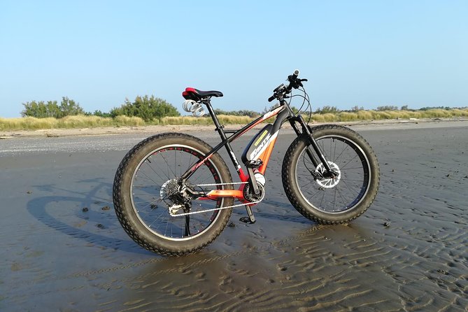 Full Day Venice E-Bike Rental - Key points before you go