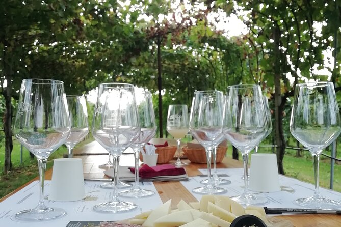 Full Day Wine Tour and Tasting in the Prosecco Region - Prosecco hills day trip from Venice: what you’re really buying