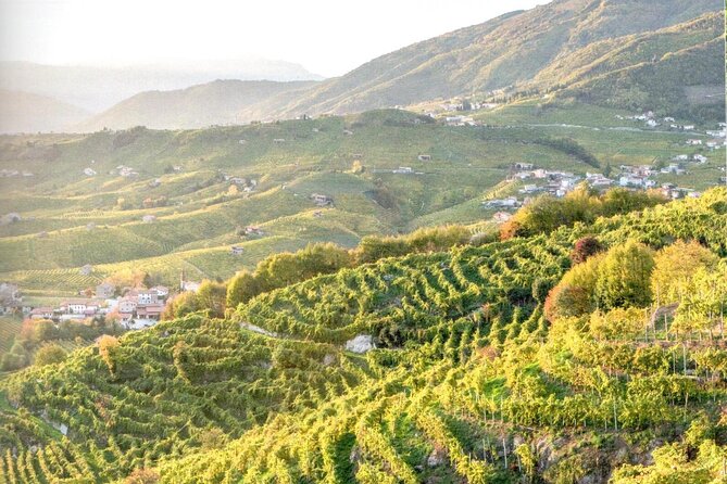 Full Day Wine Tour and Tasting in the Prosecco Region - Lunch and food expectations: what you’ll actually taste