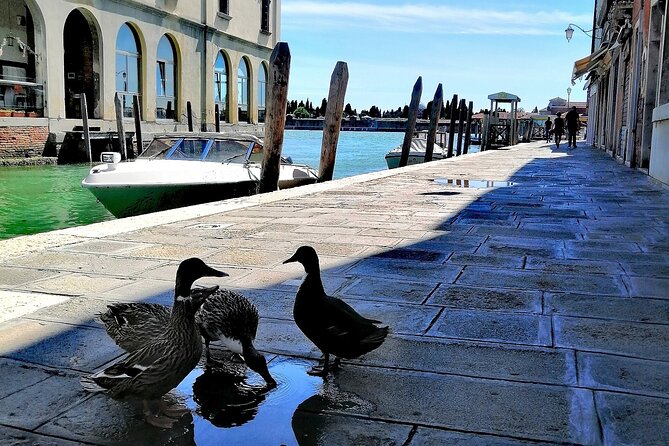 Island Hopping Tour: Mazzorbo, Burano and Murano - Why this Mazzorbo–Burano–Murano combo works in half a day