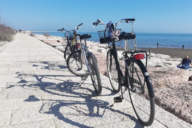 Lido Bike Tour: With a Local on the Island of Cinema - Murazzi, Alberoni Dunes, and Malamocco’s Fishing Village