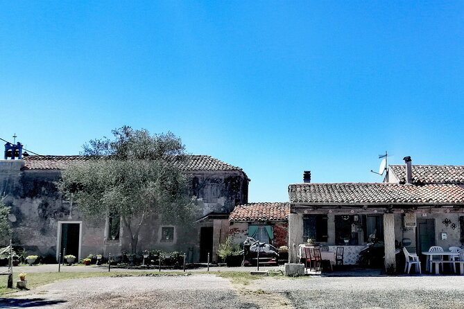 Lio Piccolo: Flamingos & Birdwatching Bike Tour in the Lagoon - Best time to go, what to bring, and how to get better sightings