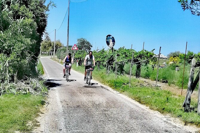 Lio Piccolo: Flamingos & Birdwatching Bike Tour in the Lagoon - Who should book this Venice bike-and-bird tour