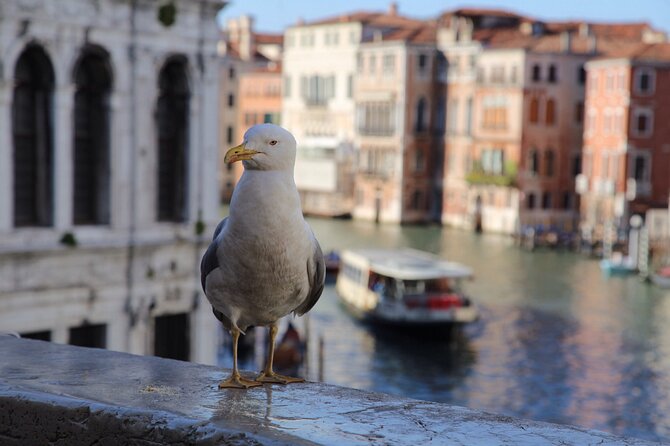 Photography workshop in the magical Venice (3h) - Timing, weather, and the €5 access fee to know before you go