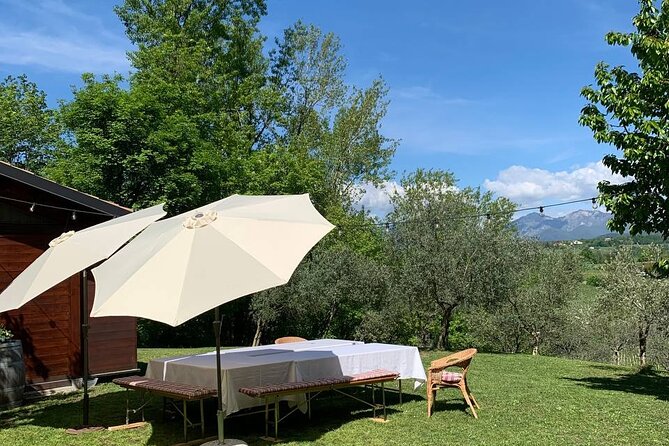 Premium Private Prosecco Hills Tour - 2 Wineries. Private tour. - Collalbrigo and the view lunch: the meal is part of the experience