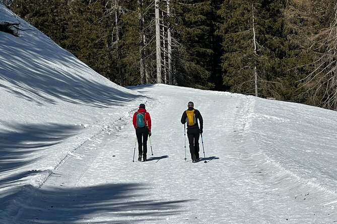 Private Dolomites Winter Day Tour from Venice - Lago di Braies near Austria: the short walk that pays off