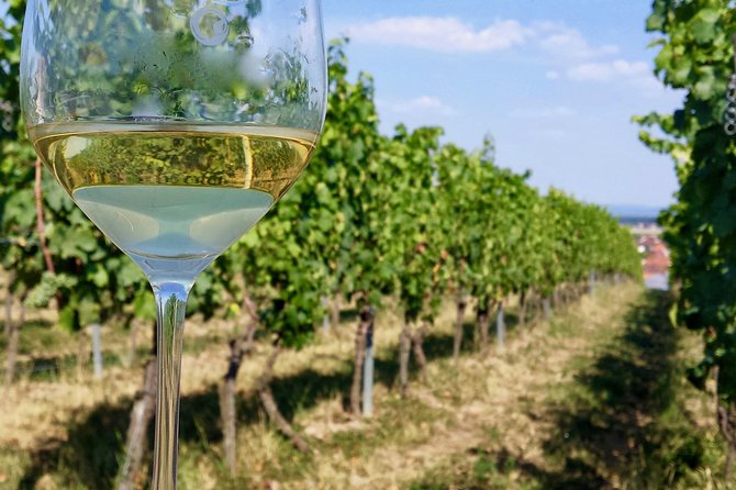 Private Half Day Wine Tasting tour: Road Of The Doges - What you taste in Veneto: varietals plus snacks that actually help