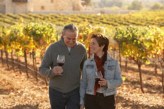 Private Half Day Wine Tasting tour: Road Of The Doges - Private tour vs small-group reality: when intimacy holds up