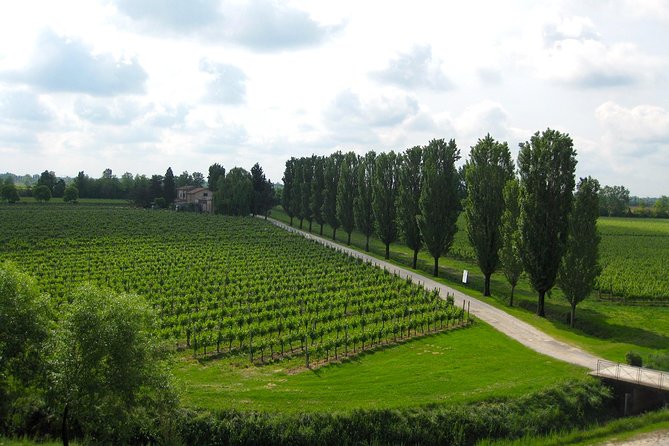 Private Half Day Wine Tasting tour: Road Of The Doges - Who this Veneto tasting suits best (and who should skip it)