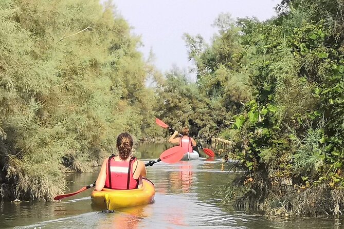 Private Kayak Tour in the Venetian Lagoon - Key highlights you’ll care about
