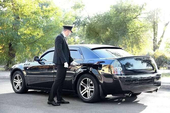 Private One-way Airport Transfer Venice Airport to Venice - Who this transfer suits best (and who might want alternatives)